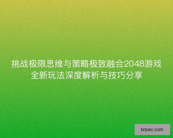 挑战极限思维与策略极致融合2048游戏全新玩法深度解析与技巧分享