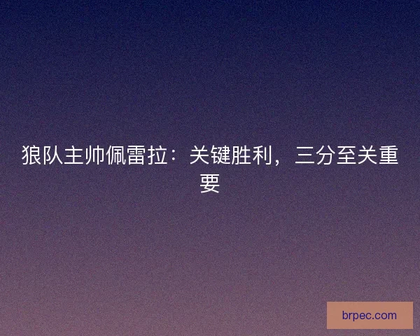 狼队主帅佩雷拉：关键胜利，三分至关重要