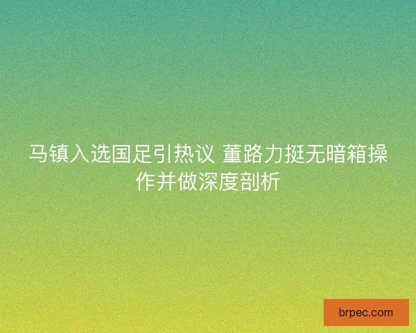 马镇入选国足引热议 董路力挺无暗箱操作并做深度剖析