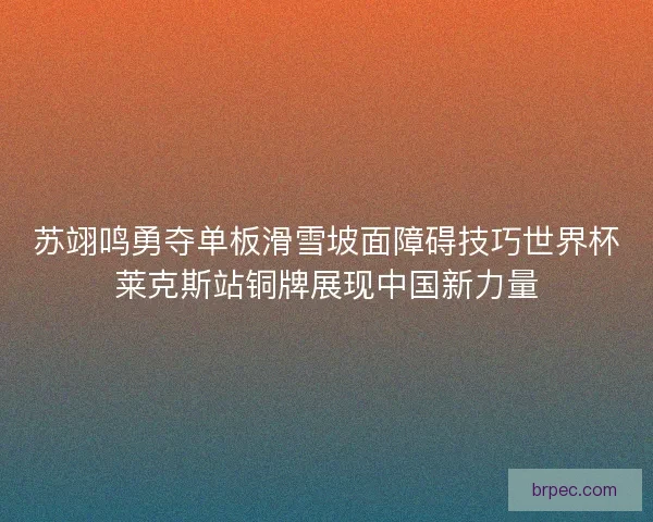 苏翊鸣勇夺单板滑雪坡面障碍技巧世界杯莱克斯站铜牌展现中国新力量