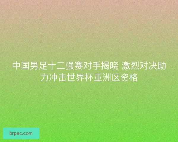 中国男足十二强赛对手揭晓 激烈对决助力冲击世界杯亚洲区资格