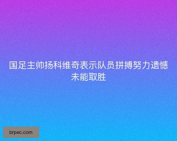 国足主帅扬科维奇表示队员拼搏努力遗憾未能取胜 国足主帅扬科维奇表示队员拼搏努力遗憾未能取胜