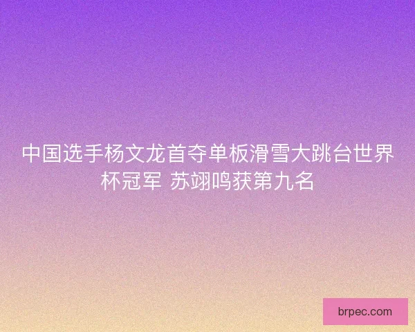 中国选手杨文龙首夺单板滑雪大跳台世界杯冠军 苏翊鸣获第九名